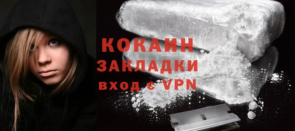 гашик Корсаков