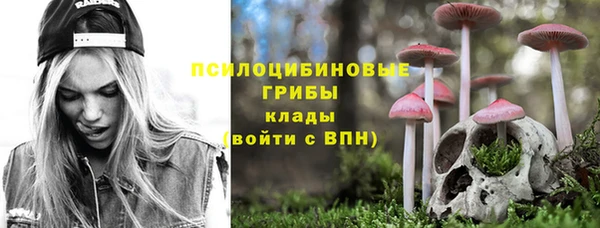 соль ск Пестово