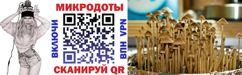 Псилоцибиновые грибы Psilocybine cubensis  darknet Telegram  Костомукша 